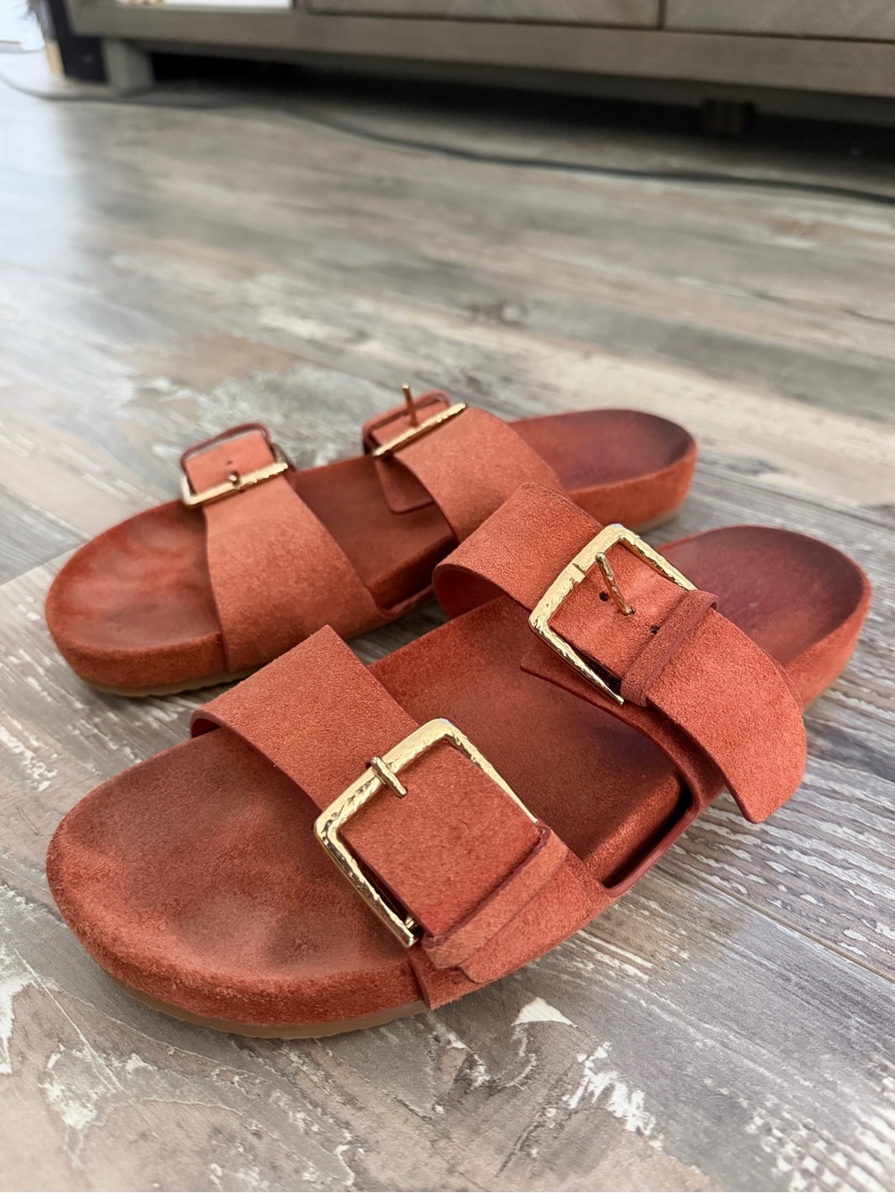 Ulla Johnson Nova Slides with Gold Buckles